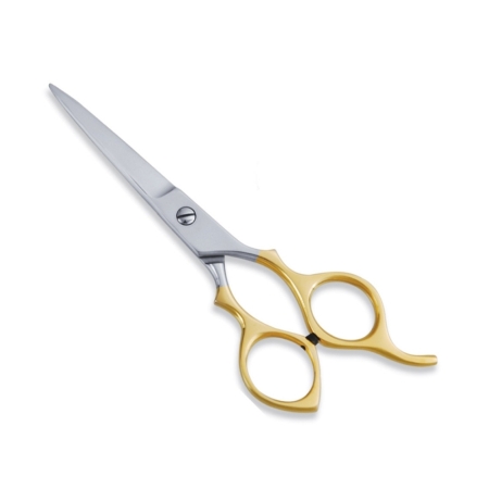 Economy Hair Scissors
